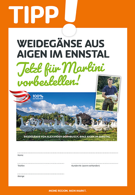 Grafik zur Vorbestellung von Weidegänsen aus Aigen im Ennstal für Martini. Zu sehen sind mehrere Gänse auf einer Wiese vor Bergkulisse sowie ein Foto von Alexander Dornbusch mit einer Gans. Darunter befinden sich Felder für Name, Telefon, Kundennummer und Menge.